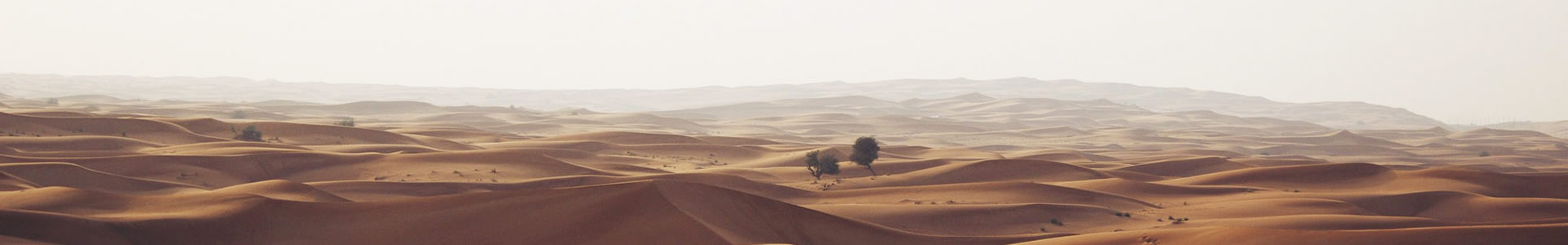 ݸܽԭ޹˾